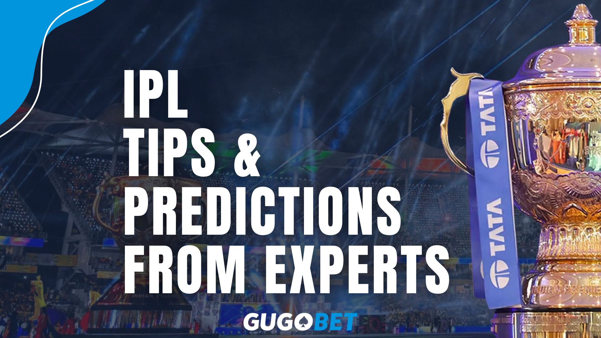 IPL Tips & Predictions From Experts