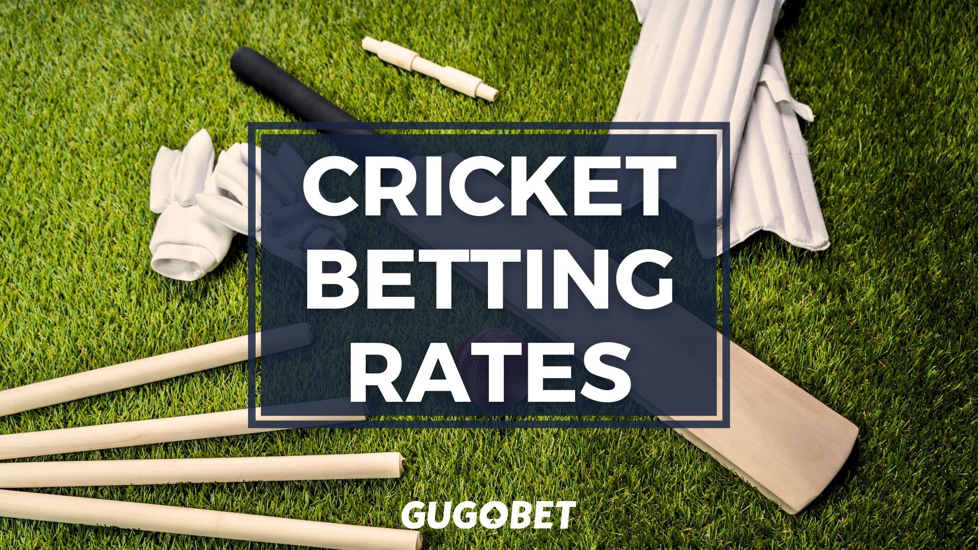 Cricket Betting Rates
